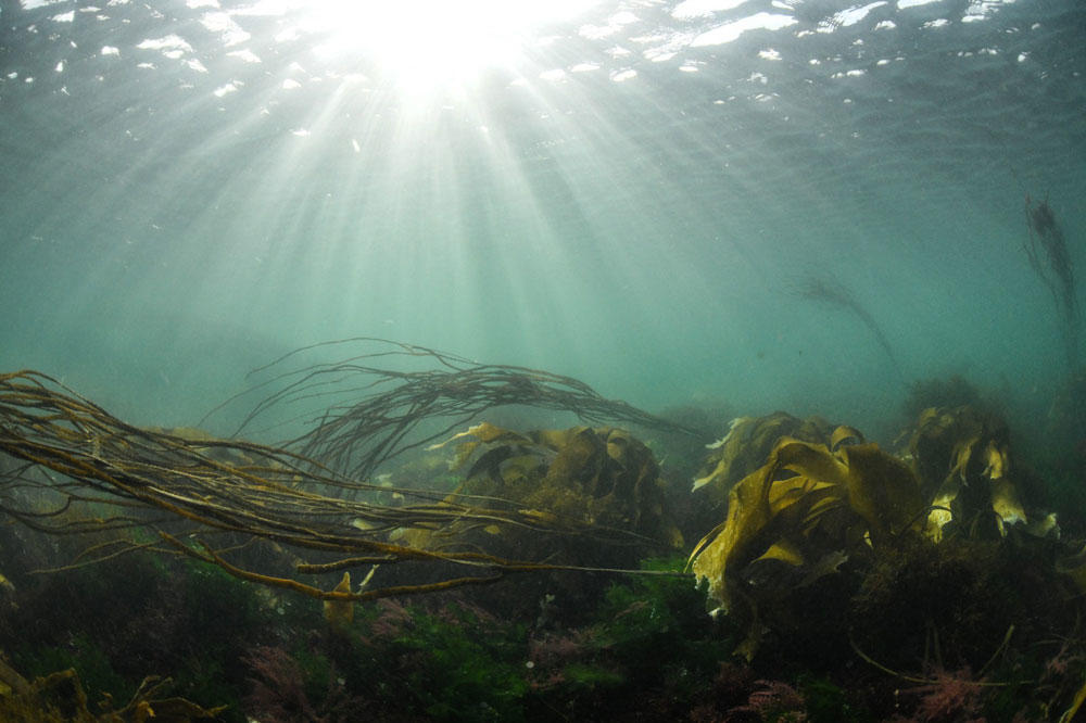 vue depuis le spluj spluj underwater